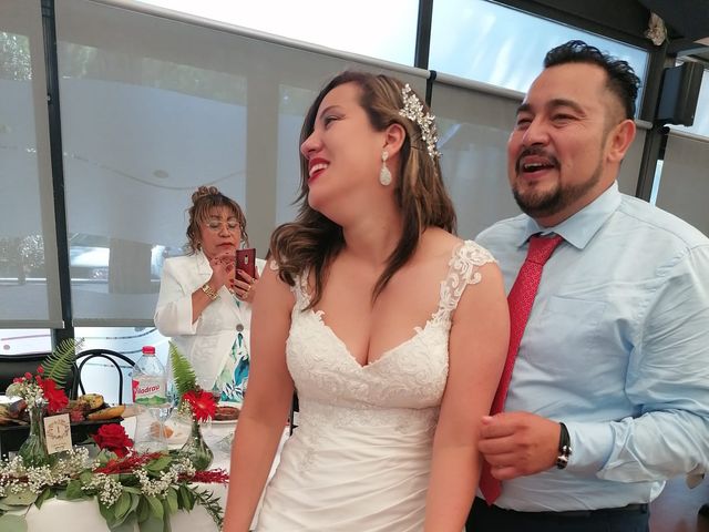 La boda de Carlos y Ana Patricia  en Castelldefels, Barcelona 19