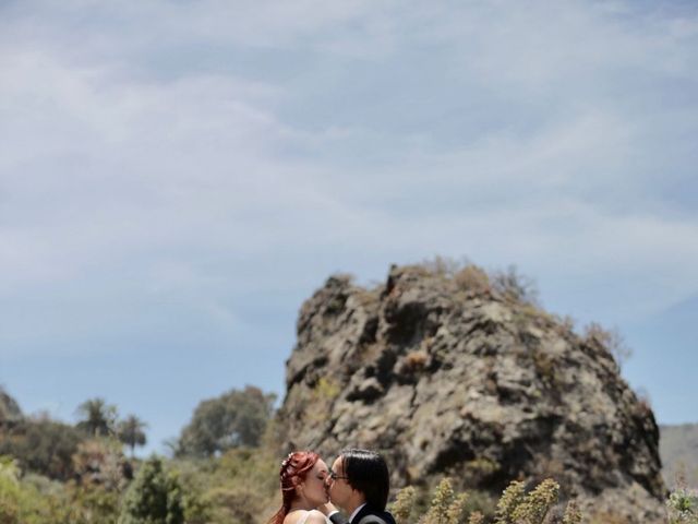 La boda de Carlos y Keila en Las Palmas De Gran Canaria, Las Palmas 4