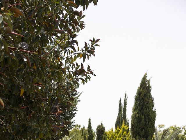 La boda de Gian y Alba en Elx/elche, Alicante 67
