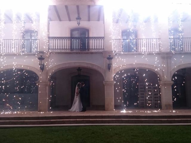 La boda de Carlos y Trini en Daya Vieja, Alicante 12