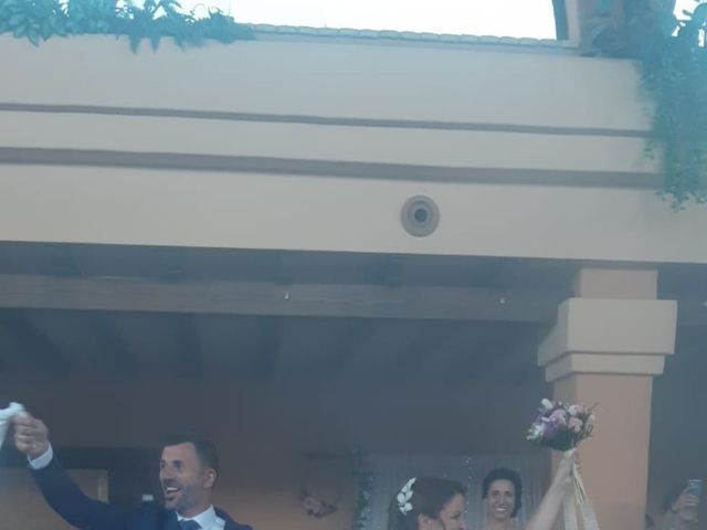 La boda de Francisco  y Ana  en Conil De La Frontera, Cádiz 4