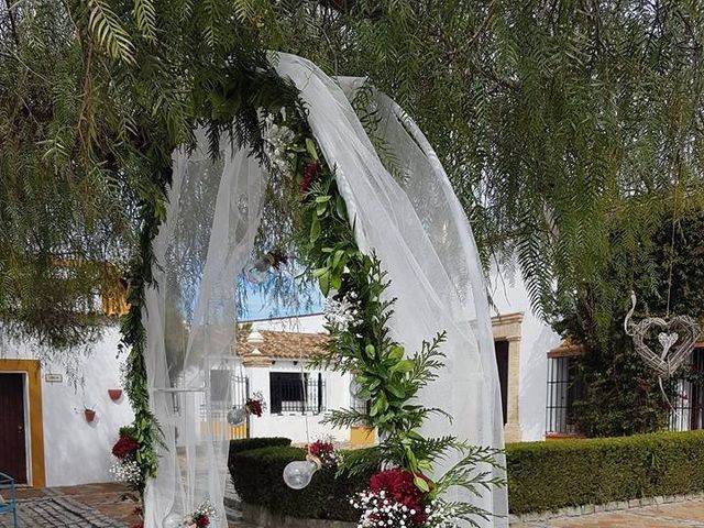 La boda de Jose Andrés y Triana en Los Palacios Y Villafranca, Sevilla 19