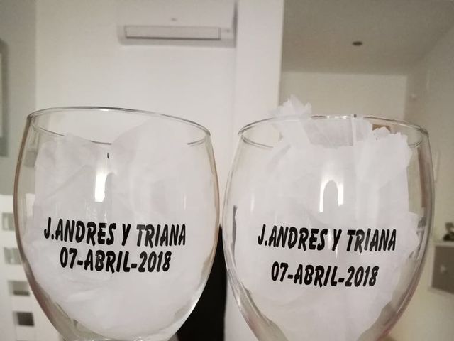 La boda de Jose Andrés y Triana en Los Palacios Y Villafranca, Sevilla 35