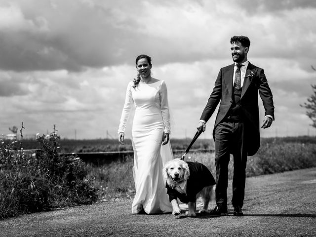 La boda de Jose Andrés y Triana en Los Palacios Y Villafranca, Sevilla 39