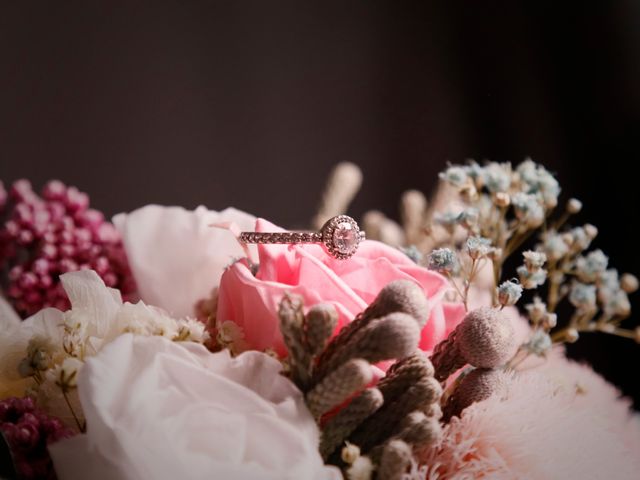 La boda de Nacho y Esmeralda en Villafranca De Los Barros, Badajoz 1