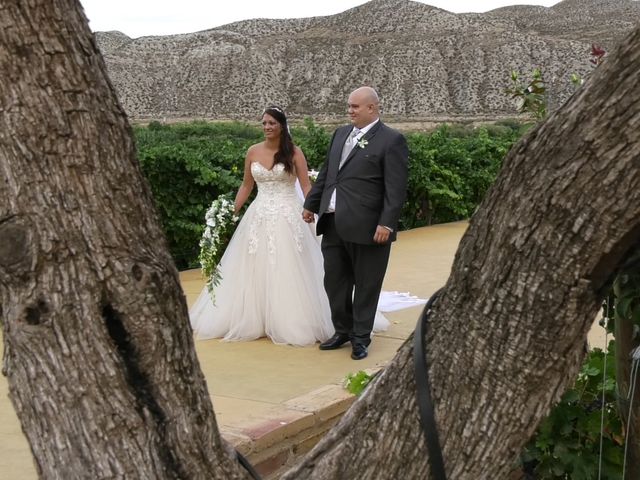 La boda de Javier y Tamara en Cuarte De Huerva, Zaragoza 14