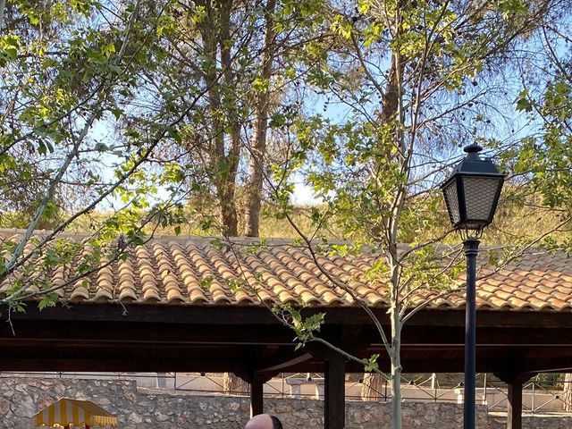 La boda de Jesús y Oriana en Morata De Tajuña, Madrid 14