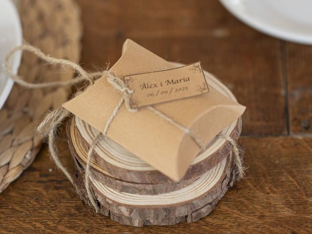 La boda de Àlex y Maria en Sant Pere De Ribes, Barcelona 12