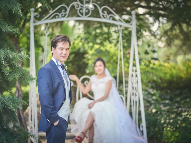 La boda de Luis y geraldine en Alcalá De Henares, Madrid 31