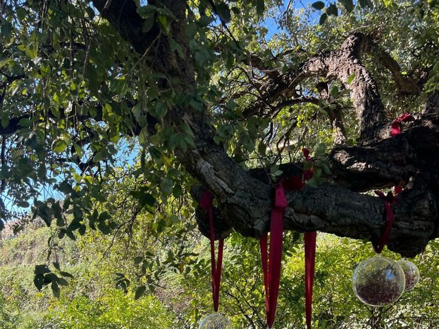 La boda de Adrián  y Rocío  en Ojen, Málaga 12