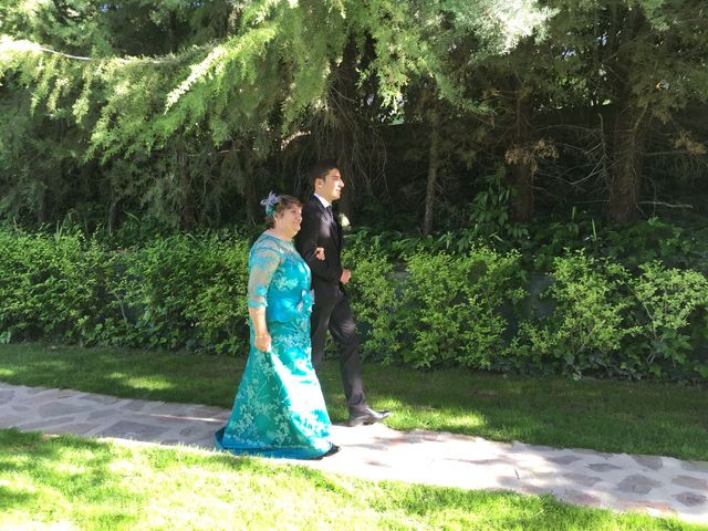 La boda de Victor y Lorena en Chinchon, Madrid 6