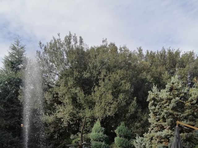 La boda de Jesús  y Carol en Sant Fost De Campsentelles, Barcelona 5