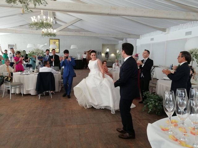 La boda de Alberto y Alejandra en Almodovar Del Campo, Ciudad Real 7