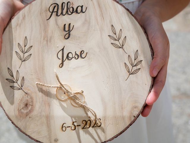 La boda de José Luís y Alba en Aldea Del Fresno, Madrid 3