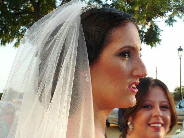 La boda de Carlos  y Saray  en Alcala De Guadaira, Sevilla 3