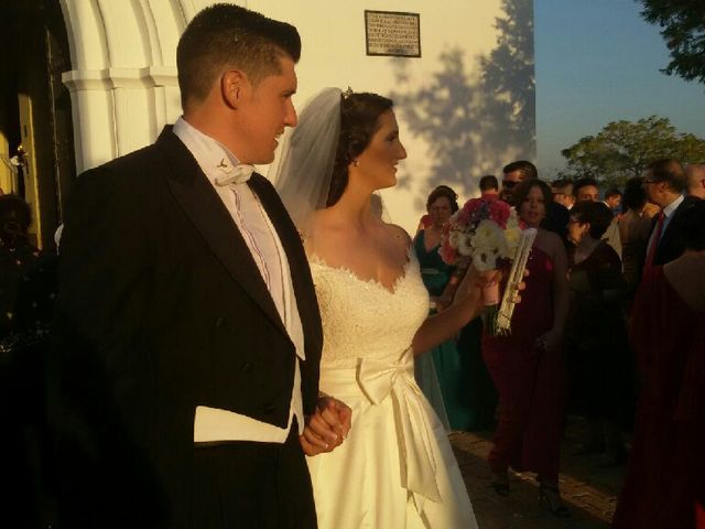 La boda de Carlos  y Saray  en Alcala De Guadaira, Sevilla 9