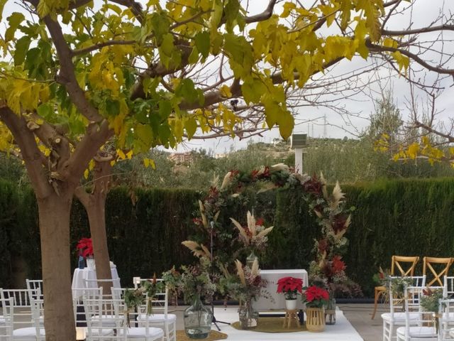La boda de Sergio y Pilar en Jaén, Jaén 5