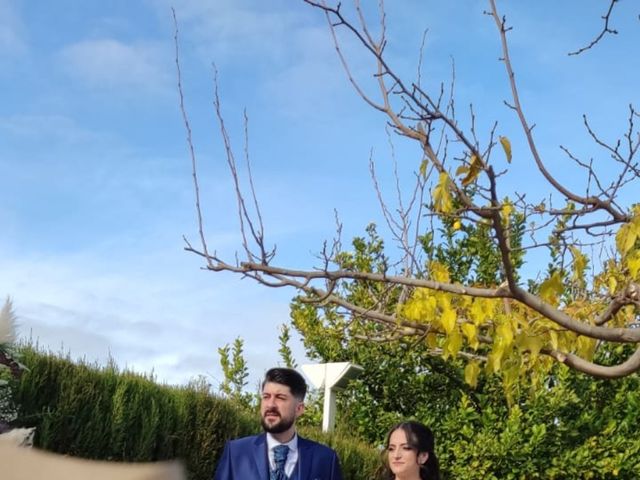 La boda de Sergio y Pilar en Jaén, Jaén 6