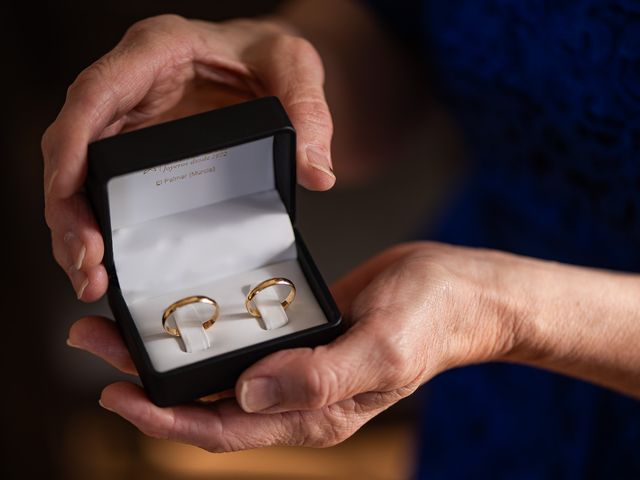 La boda de rosa y javi en Murcia, Murcia 435