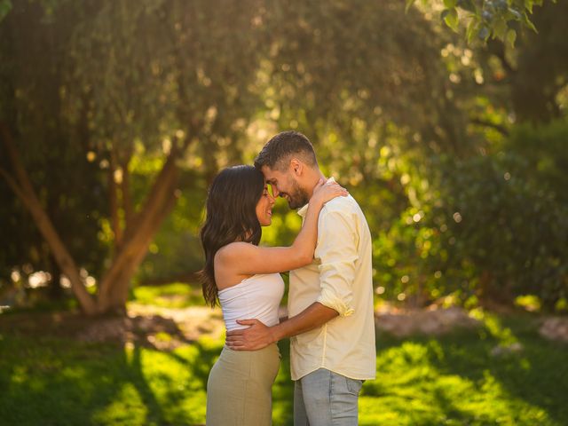 La boda de rosa y javi en Murcia, Murcia 440