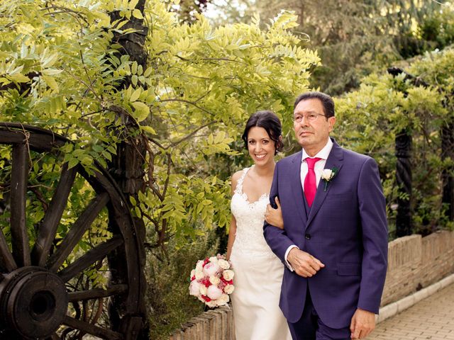 La boda de Miguel y Alicia en Alalpardo, Madrid 16