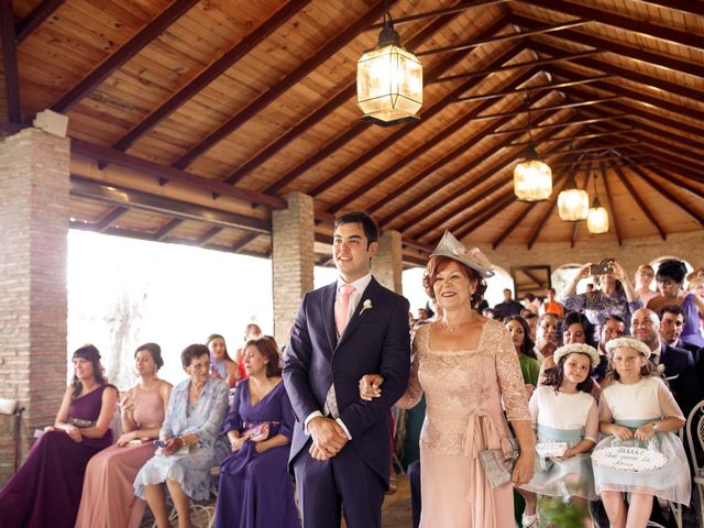 La boda de Miguel y Alicia en Alalpardo, Madrid 17