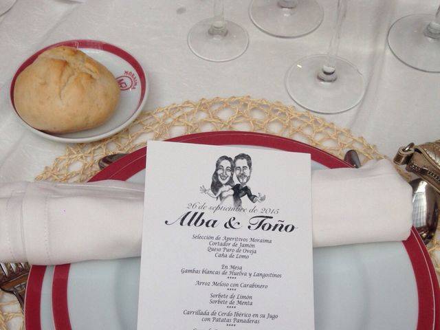 La boda de Antonio y Alba en Moron De La Frontera, Sevilla 14