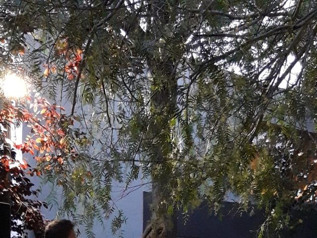 La boda de Daniel y Aida en Granada, Granada 5