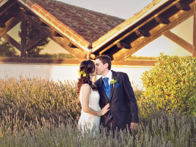 La boda de Fernando y Mila en Aranjuez, Madrid 35