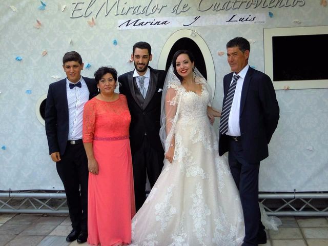 La boda de Luis  y Marina  en Madrid, Madrid 10