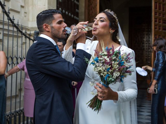 La boda de Jose y Mari en Jerez De La Frontera, Cádiz 42
