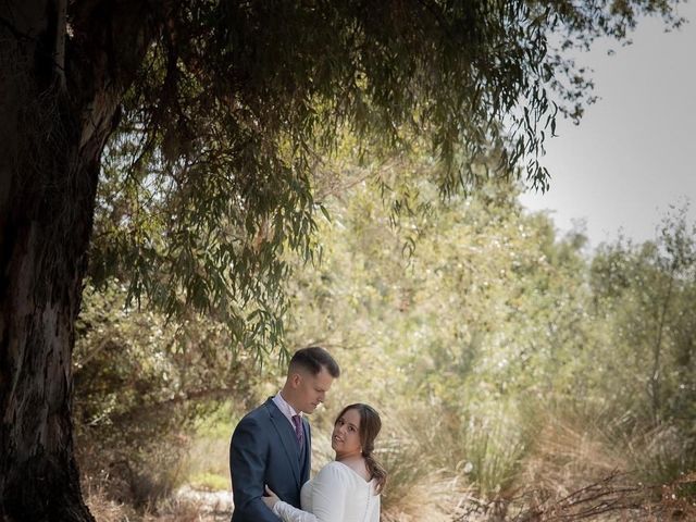 La boda de Fran y Marisa en Sanlucar La Mayor, Sevilla 9