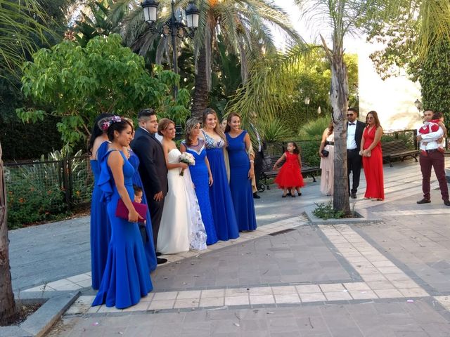 La boda de Fernando   y Tatiana   en San Pedro Alcantara, Málaga 2