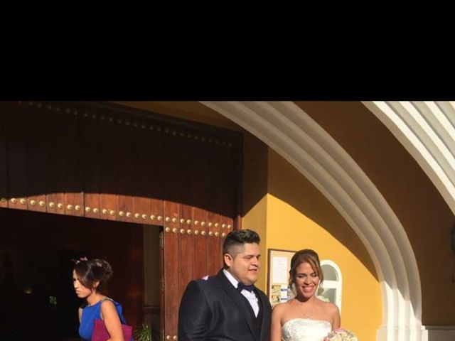La boda de Fernando   y Tatiana   en San Pedro Alcantara, Málaga 4