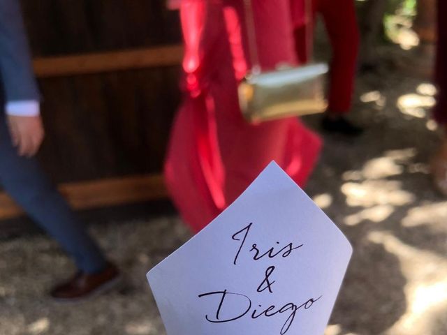 La boda de Iris y Diego en Mutxamel, Alicante 8