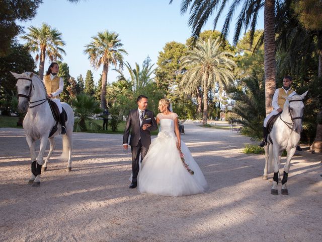 La boda de Daniel y Sheila en San Juan De Alicante, Alicante 37