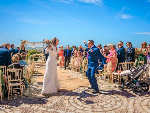 La boda de Nacho y Virginia en Jerez De La Frontera, Cádiz 43