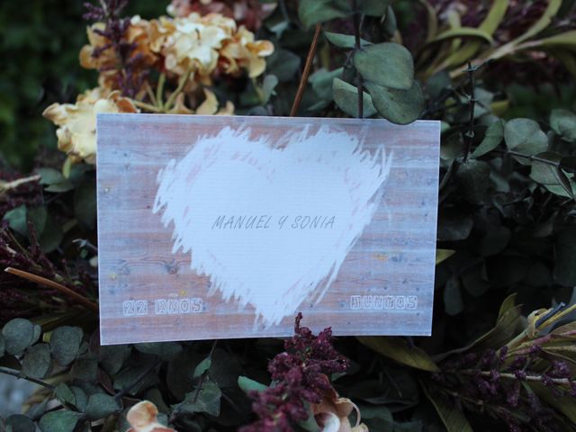 La boda de Manuel y Sonia en Pinilla Del Valle, Madrid 26