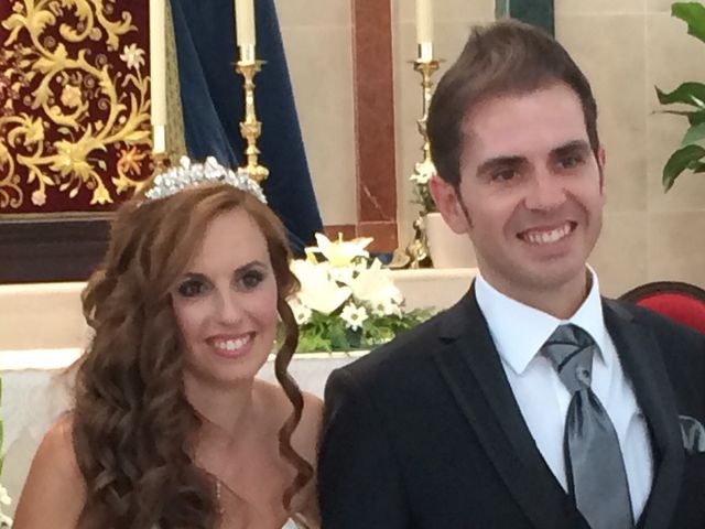 La boda de Javier y Maria Isabel  en Benalmadena Costa, Málaga 15