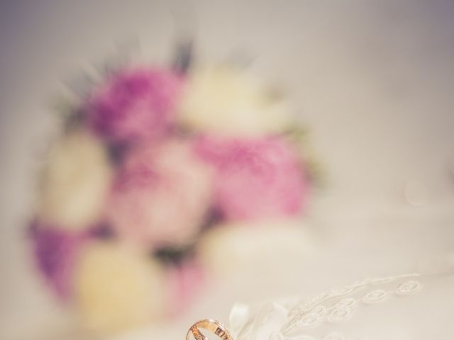 La boda de Carlos y Elena en Almería, Almería 10