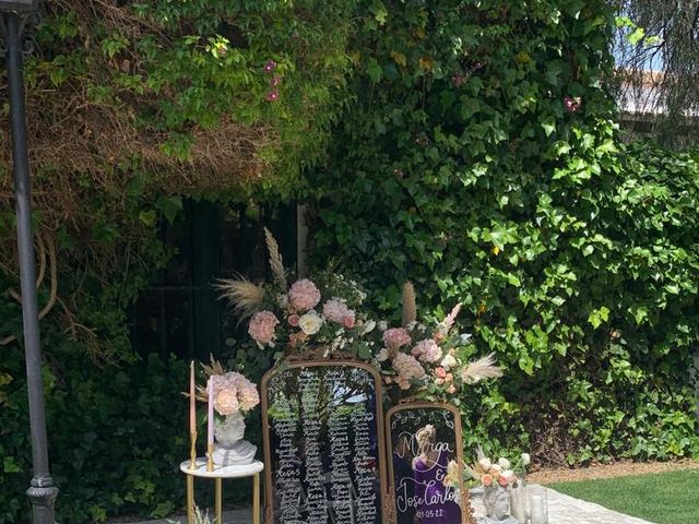 La boda de Jose Carlos  y Marga  en Espartinas, Sevilla 15