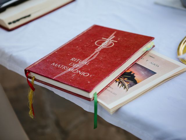 La boda de Alberto y Alicia en Málaga, Málaga 34
