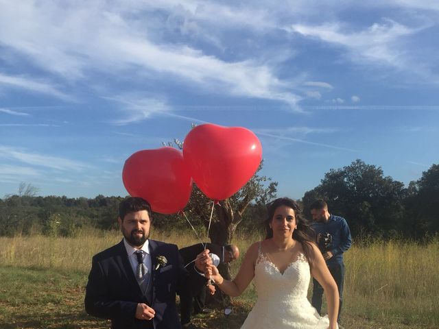 La boda de Alberto y Anna en Llers, Girona 36