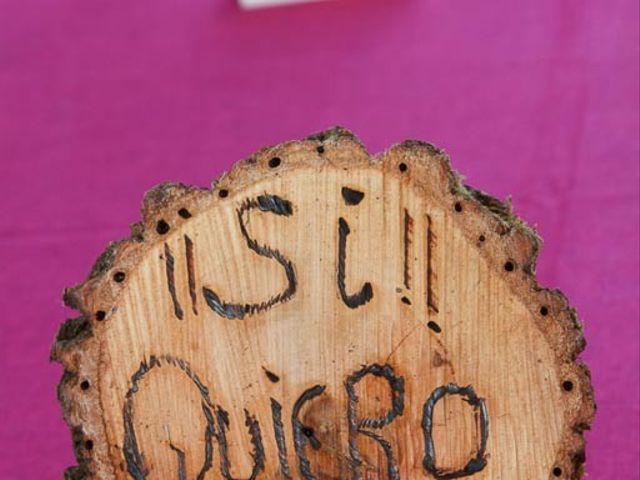 La boda de Raúl y Gema en Villasur De Herreros, Burgos 3