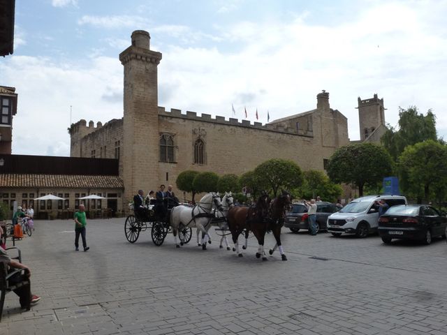 La boda de Javier y Ana en Olite, Navarra 5