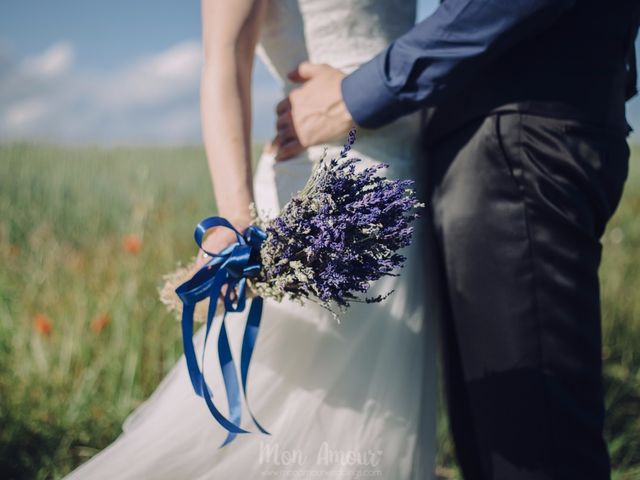 La boda de Sergio y Aurora en Castellterçol, Barcelona 13