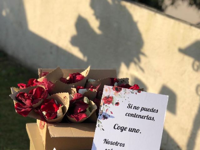 La boda de Sergio y Natalia en La Franca, Asturias 3