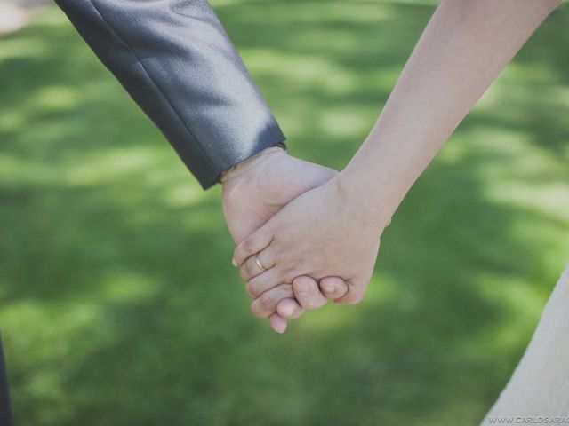 La boda de Luismi y Ana en Aranjuez, Madrid 7