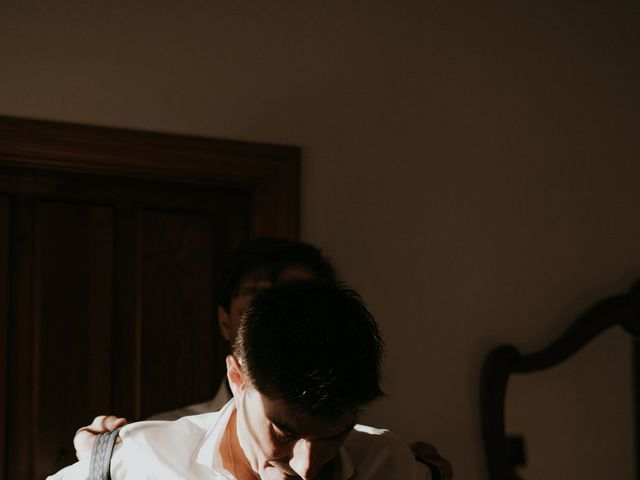 La boda de Lucía y Javier en Jerez De La Frontera, Cádiz 4