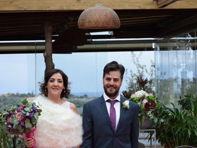 La boda de David  y Alejandra  en Toledo, Toledo 4